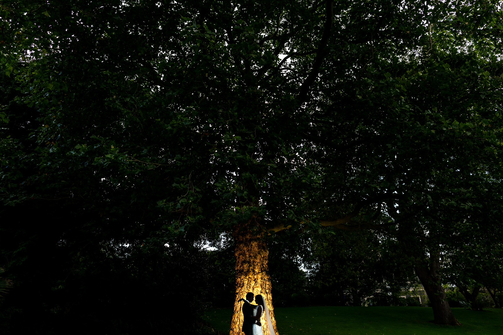 Trouwfotograaf Leiden Stoere Fotoshoot bruidspaar in Hortus Botanicus